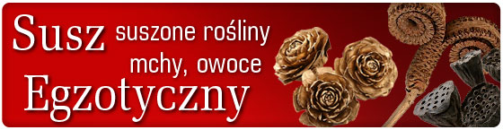 Susz egzotyczny lotosy mchy szyszki