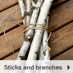 Sticks and branches