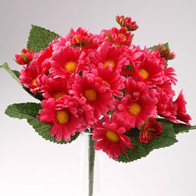 Bouquet of orange oxeye daisies - ca. 24 flowers 40 cm