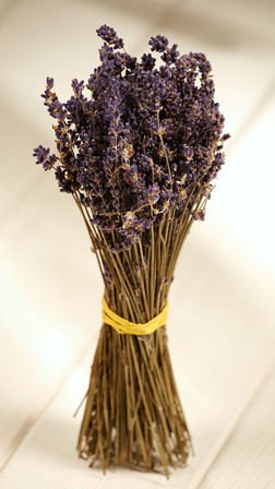 Dried lavender twigs bouquet 25 cm