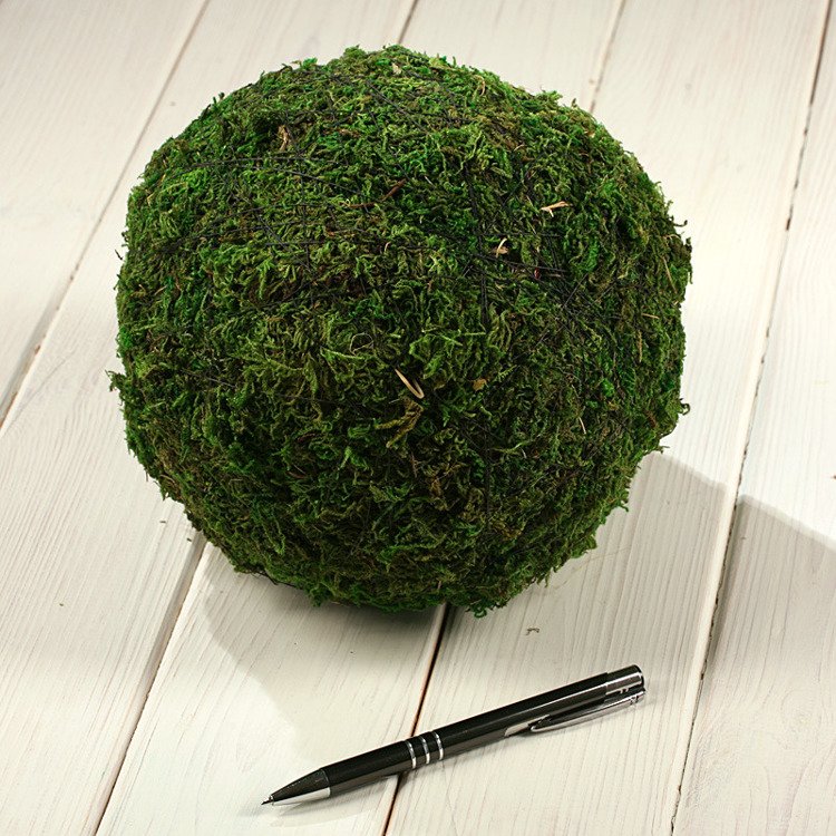 Moss ball, 20 cm