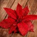Gwiazda betlejemska poinsecja  brokatowana czerwona 12 cm