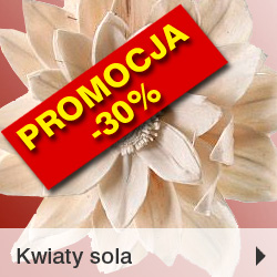 Kwiaty sola PROMOCJA 30%