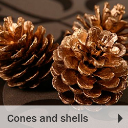 Cones and shells