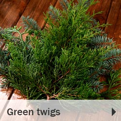 Green twigs