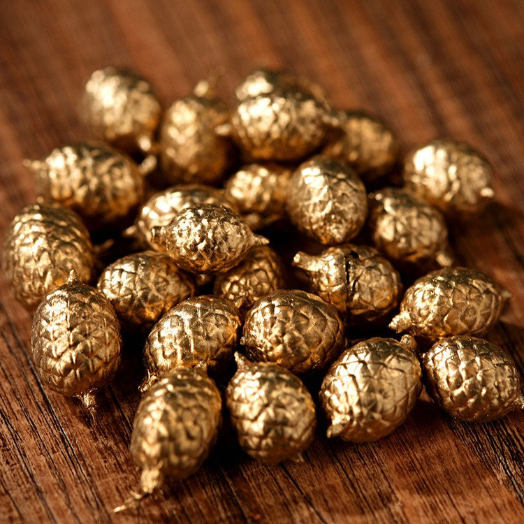  Cannela Fruit (30g/pkg) Gold