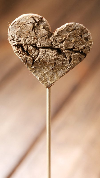 Birchen heart on stick 6pcs/pkg 