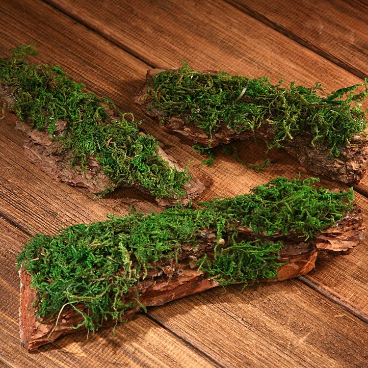 Dried bark decorated with moss-5-7 pieces