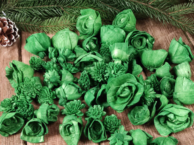 Dried salt flowers 45-50 pcs / pack - green