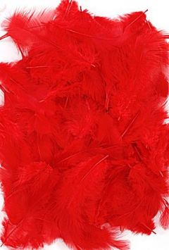 Feathers ca. 200 pcs - red