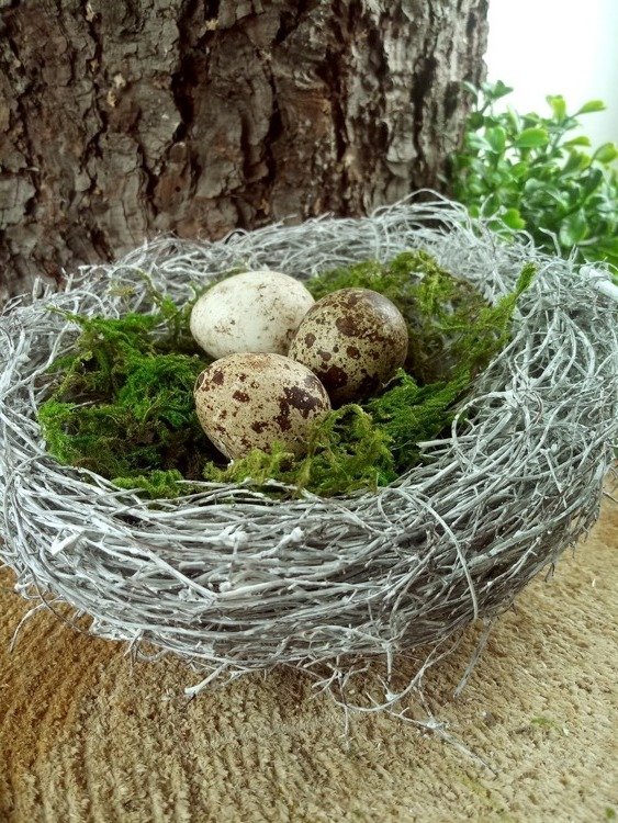 Nest with eggs 15 cm