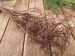 Curly bronze bouquet 40 cm