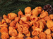 Dried salt flowers 45-50pcs / pack -intense oranges