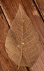 Skeleton leaves, long 20-30 cm gold 20 pcs/pkg