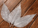 Skeleton leaves, long 20-30 cm silver 20 pcs/pkg