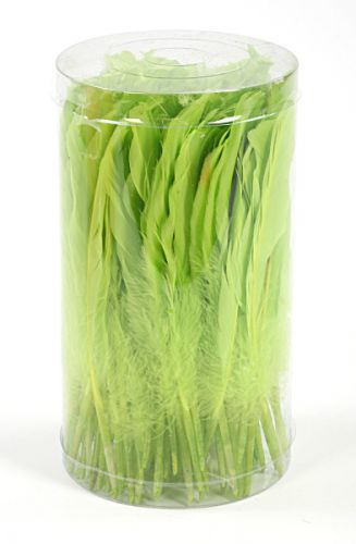 Federn 19 cm 10 Stck - grün