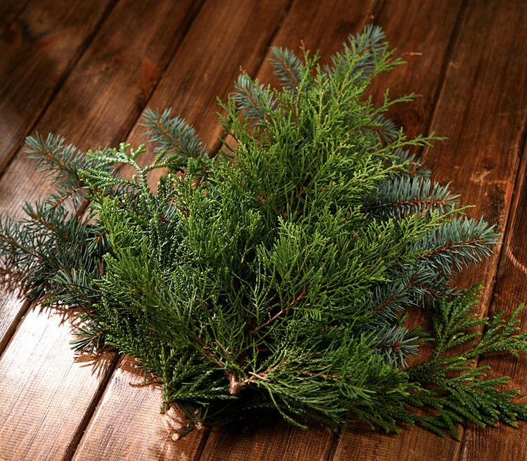Set von grüner Vegetation