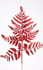 Rote, brokatene Farne, 30-35 cm-3