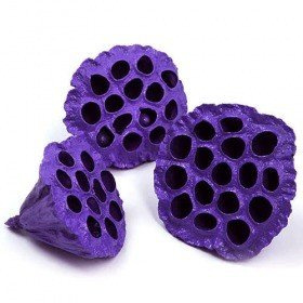 Lotos gefärbt Durchmesser 6-8 cm 6 Stck dunkles Violett