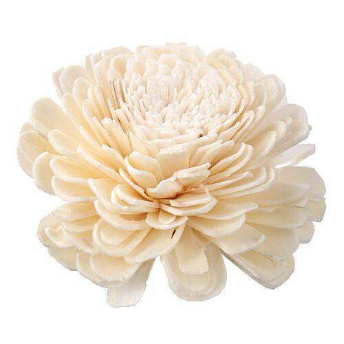 Dried salt flowers 45-50 pcs / pack - navy blue and white