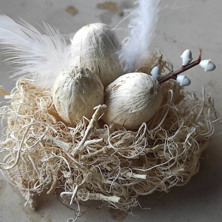 Natural whitened nest 8-12 cm 