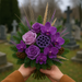 Wreath 35-40 cm purpkle