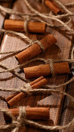 Garland of cinnamon  ca. 200cm