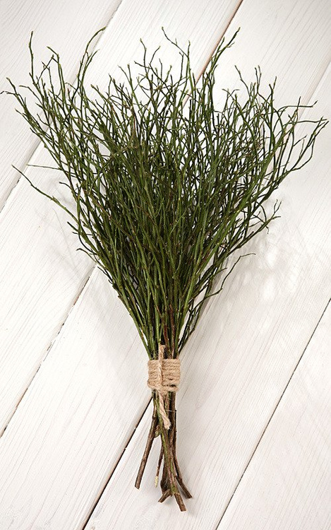 Natural twigs of bilberries, bunch of 8-10 twigs, length ca. 30 cm