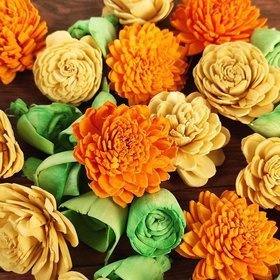 Sola flowers spring mix 48pcs/pkg