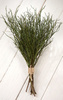 Natural twigs of bilberries, bunch of 8-10 twigs, length ca. 30 cm