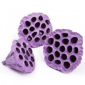 Lotus dyed diameter 6-8 cm 6 pcs/pkg lilac