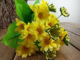 Blumenstrauß aus orangen Magerwiesen-Margerite - ca. 24 Blumen 40 cm