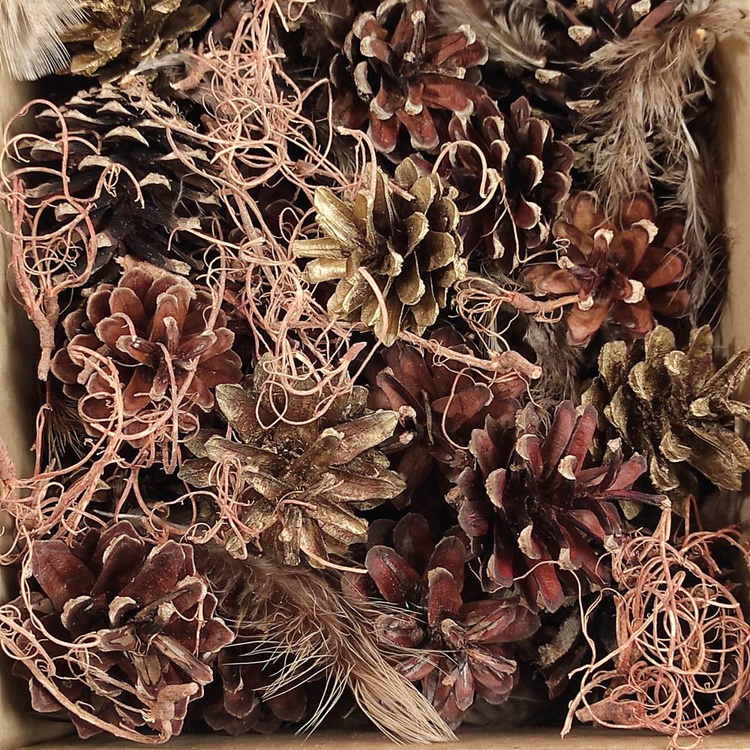 Natural nest, richly equipped, 10-12 cm 
