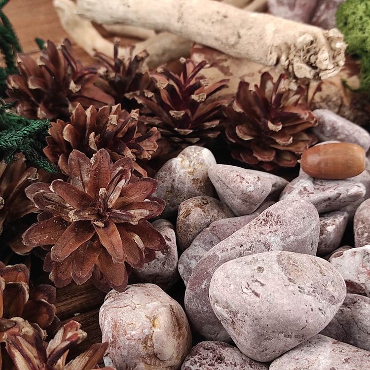 Moss Chrobotek decorations 50g green