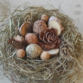 Natürliches Nest, reich ausgestattet, 10-12 cm