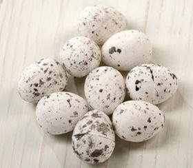 Plover's eggs - Styrofoam ca. 24 pcs/pkg, white, 1,5-2 cm