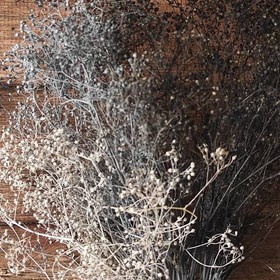 Gypsophila weißer Haufen