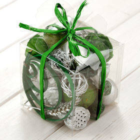 Komposition der trockenen Vegetation 10/10 cm - silbern/grün