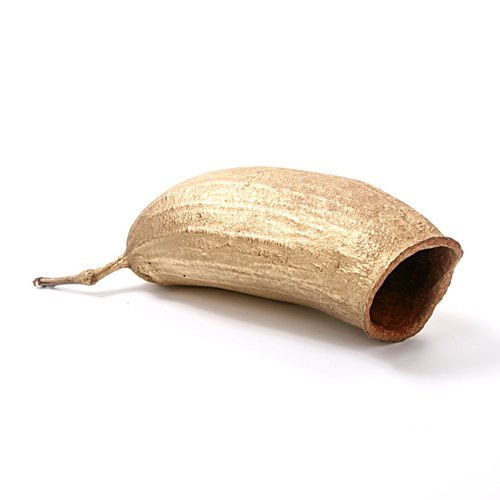 Seru fino, natural, gold lacquered, 13-16 cm, 6 pcs/pkg 
