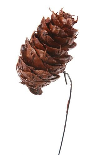 Douglas-fir cone in paraffin on wire, 10 pcs/pkg