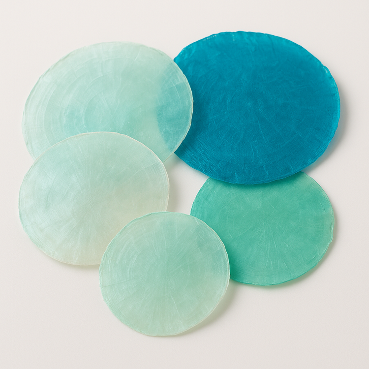 Shells (mother of pearl) 7-11 cm ca. 12 pcs. 0.1 kg