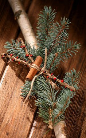 Winter log length 40 cm
