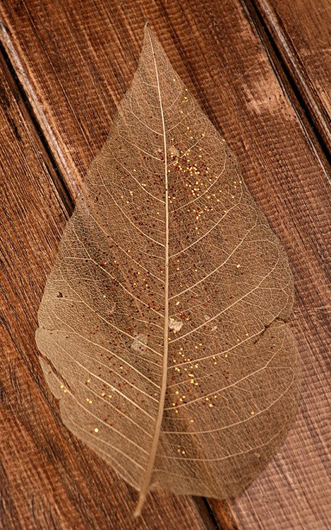 Skeleton leaves, long 20-30 cm gold 20 pcs/pkg