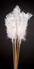 Set of 6 silver glittered white feathers on sticks  34cm