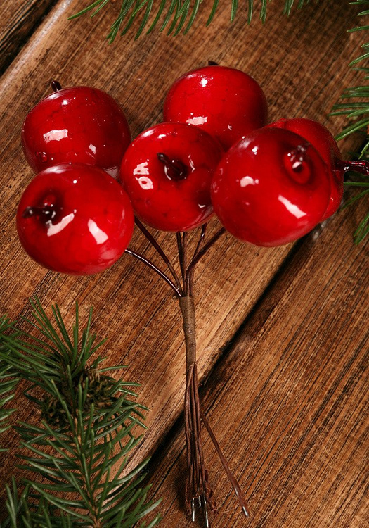 Äpfel auf einem Draht, Weihnachtsdekoration
