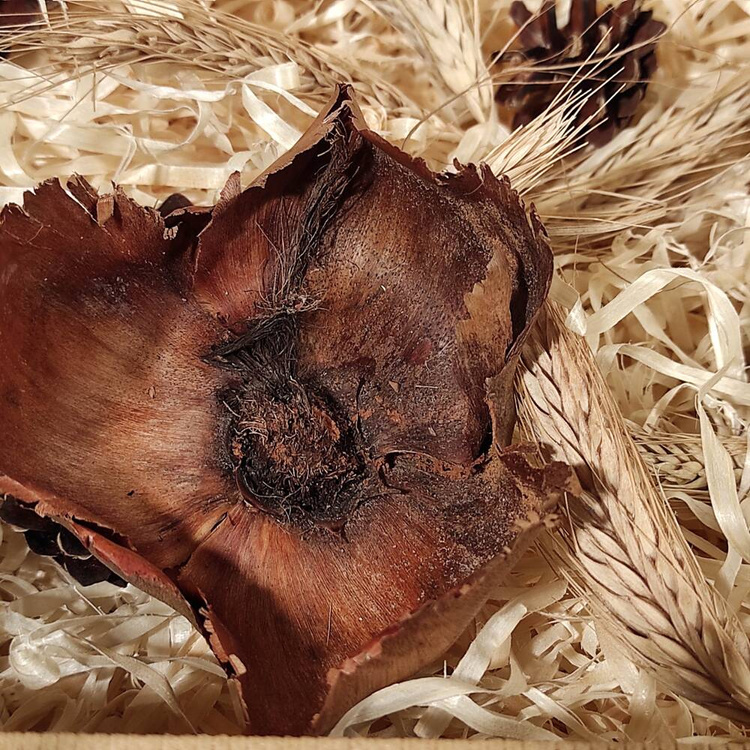 Ostergeschenk - ein Geschenk für Unternehmen - Nature III Geschenkset 