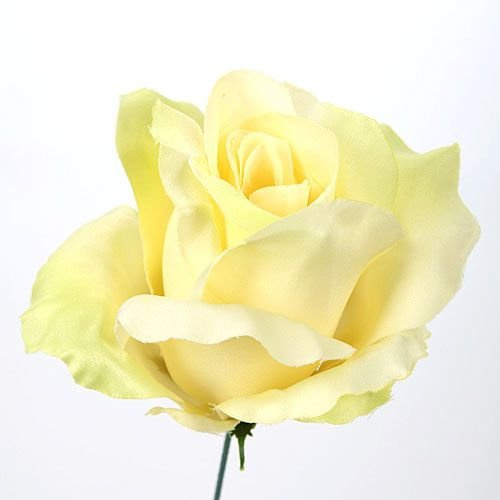 Satinköpfchen der Rose, 11,5 cm - cremefarben/grün 3 Stk/Pkt