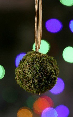 Kugel aus Moos, 5-6 cm