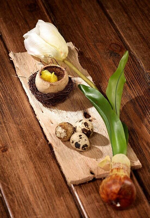 kora do stroików, kora florystyczna, baza do dekoracji, kora naturalna DIY,