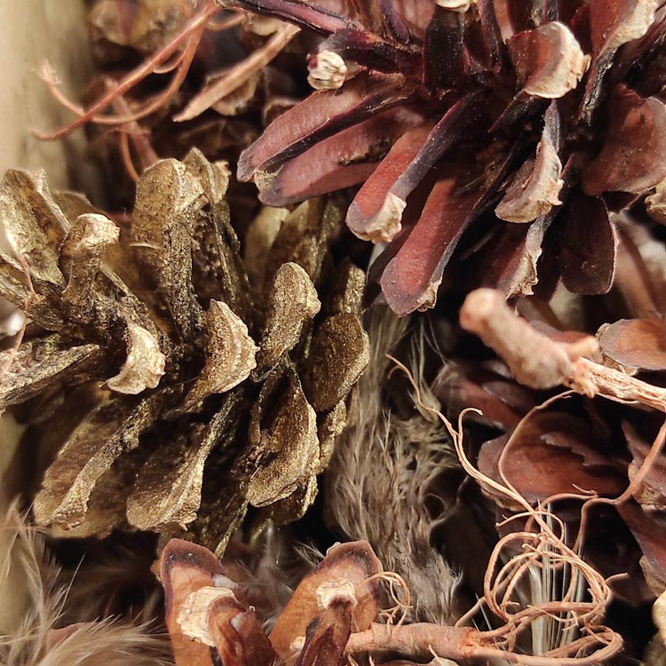 Natürliches Nest, reich ausgestattet, 10-12 cm 